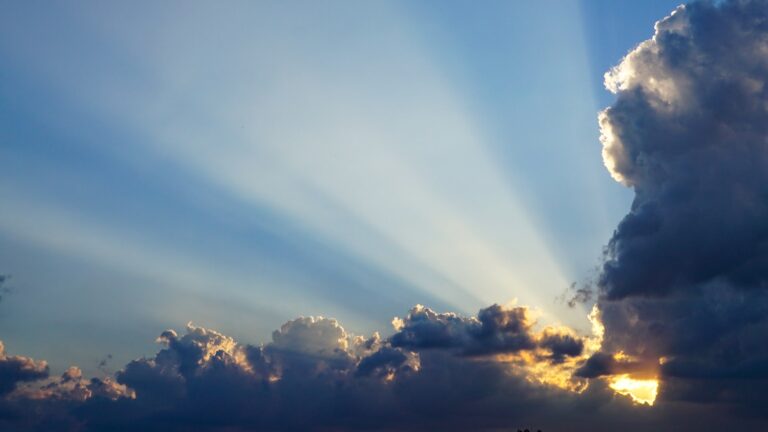 Read more about the article “Solar-Powered Gadgets: Harnessing the Sun for Your Electronics”