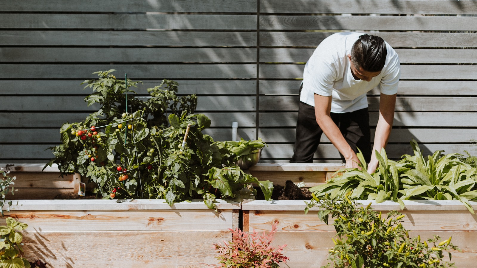 Read more about the article “Smart Gardening with IoT: Creating an Automated Green Oasis”